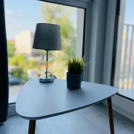 Apartament Platinum 108 *